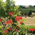 I Boidi Appartamento Nizza Monferrato
