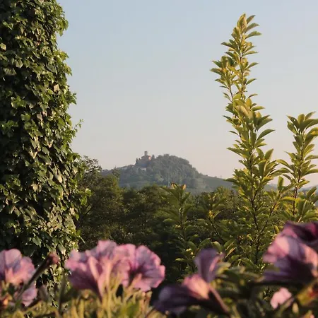 Casa Vacanze I Boidi Апартаменты