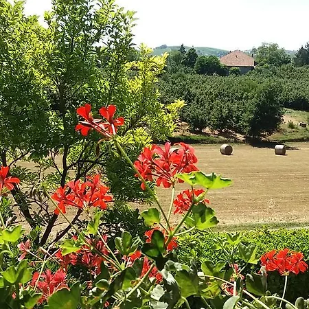 Casa Vacanze I Boidi Апартаменты Ницца-Монферрато